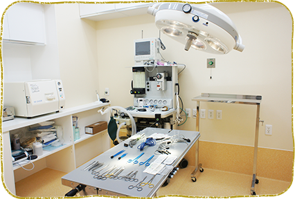 横浜市都筑区・横浜もみじ動物病院