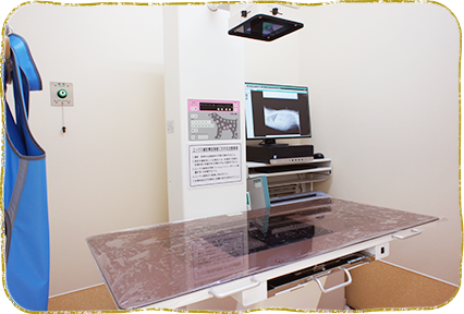 横浜市都筑区・横浜もみじ動物病院