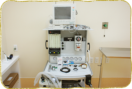 横浜市都筑区・横浜もみじ動物病院