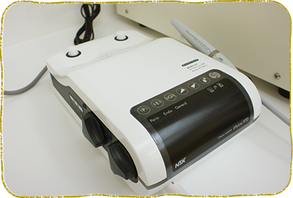 横浜市都筑区・横浜もみじ動物病院