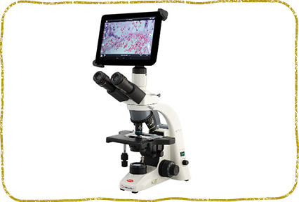 横浜市都筑区・横浜もみじ動物病院
