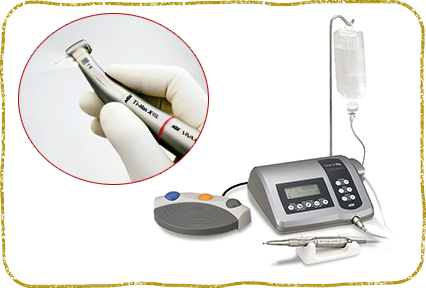 横浜市都筑区・横浜もみじ動物病院