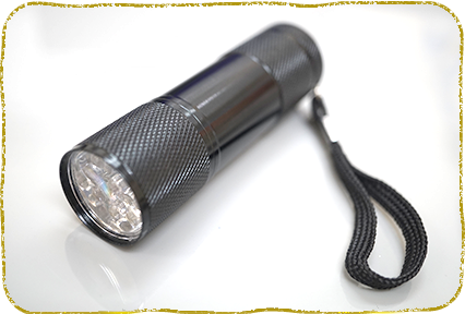 横浜市都筑区・横浜もみじ動物病院